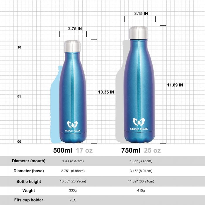 vacuum insulated stainless steel water bottle