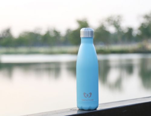 Why Should You Invest a Stainless Steel Water Bottle